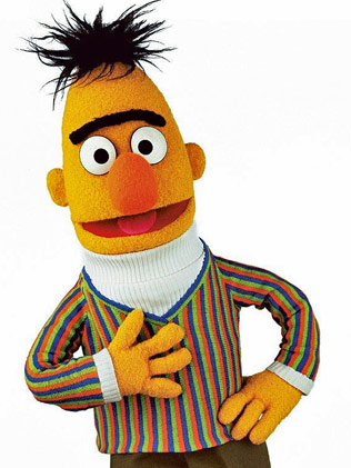 BERT the muppet