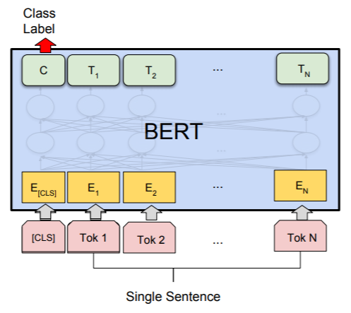 BERT Classification